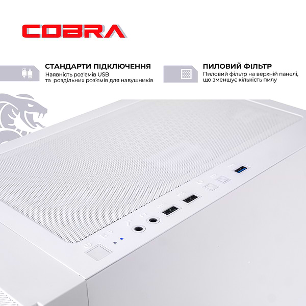 Фото - Системний блок Cobra Gaming (I114F.16.S5.36.F17723)