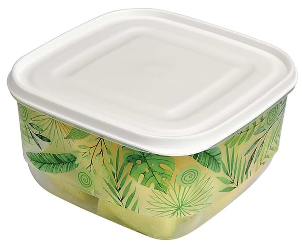 Фото - Ємність для зберігання UCSAN PLASTIC TRENDY 1.9 л з малюнком в асортименті (81009)