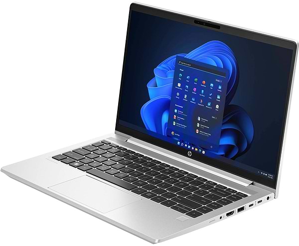 Фото - Ноутбук HP Probook 445-G10 (816Q3EA) Pike Silver Aluminum