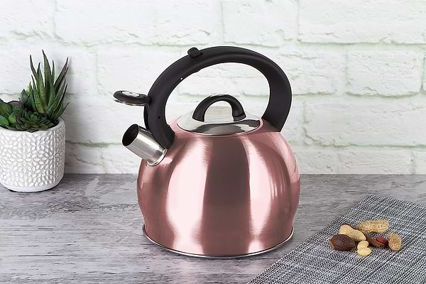 Фото - Чайник металлический BerlingerHaus BH 1077N