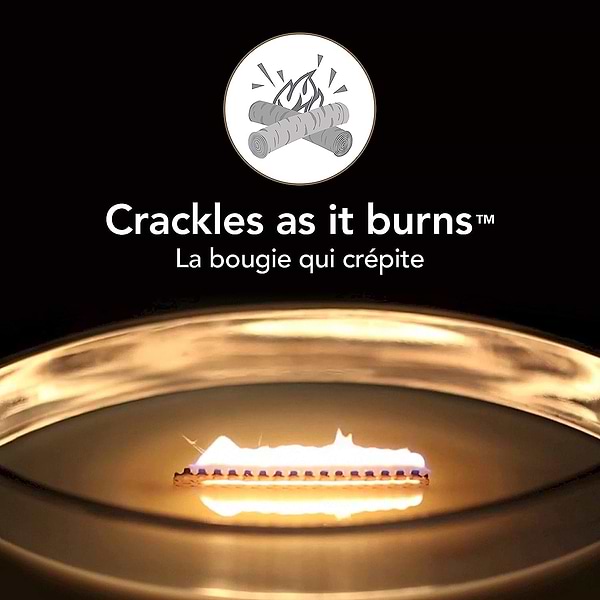 Фото - Свічка скло Woodwick Ellipse Sagewood & Seagrass (Полин та Морська трава) 453г (1728630E)