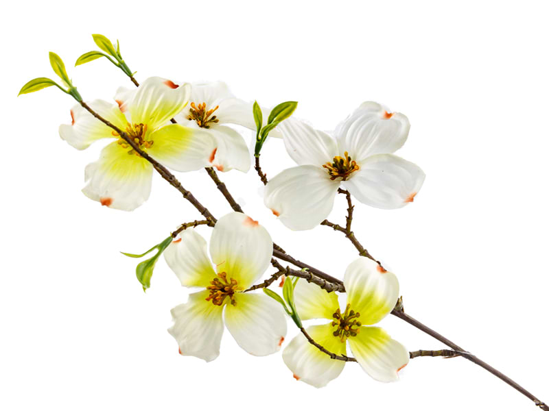 Гілка декоративна Lefard Дерен біла 75 см (821-085)