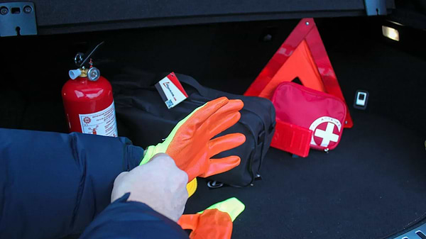 Фото - Набір для авто Poputchik Tesla легковий Чорна (01-115-Л)