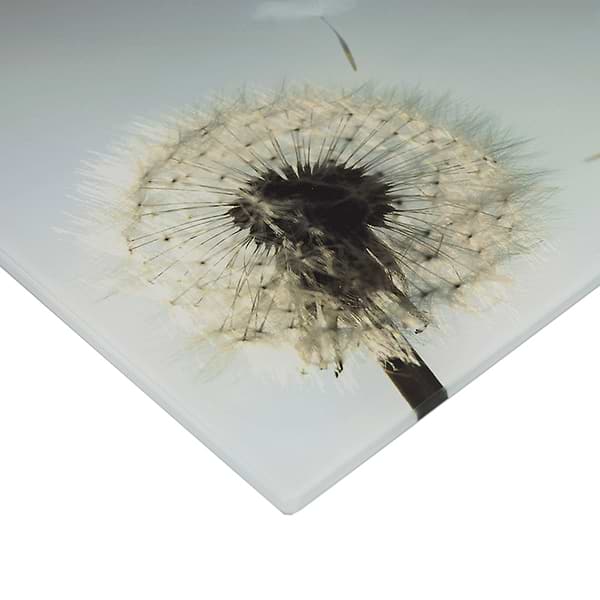 Фото - Ваги Grunhelm BES-BLG