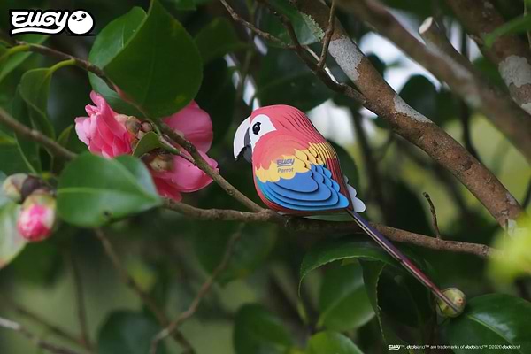 Фото - 3D пазли EUGY Зоопарк: Папуга Ара (XEG-023)