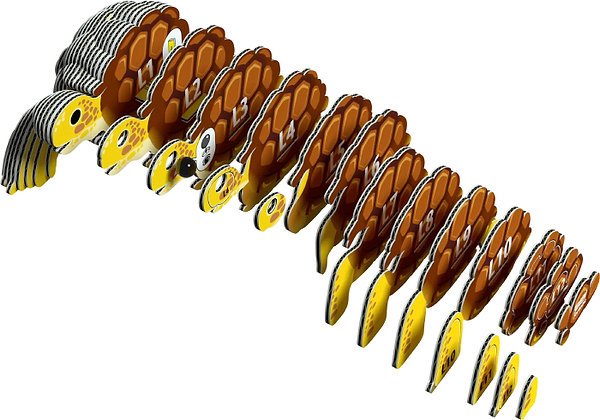 Фото - 3D пазлы EUGY Зоопарк: Черепаха (XEG-104)