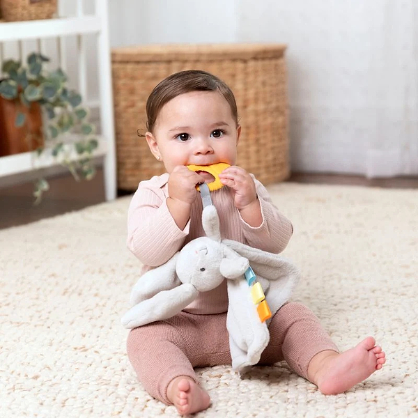 Фото - Погремушка Ingenuity Cozy Sylvi (17302)