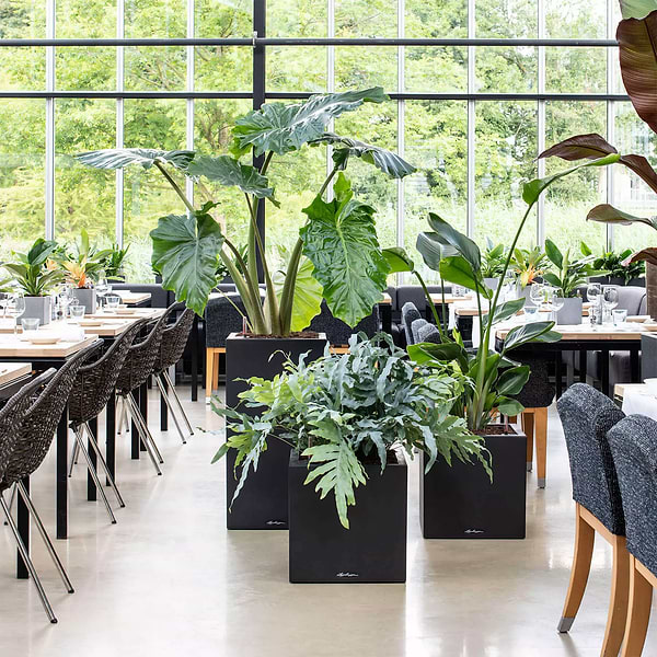 Фото - Вазон Lechuza Canto Slatestone Low  30 темно-сірий 15931