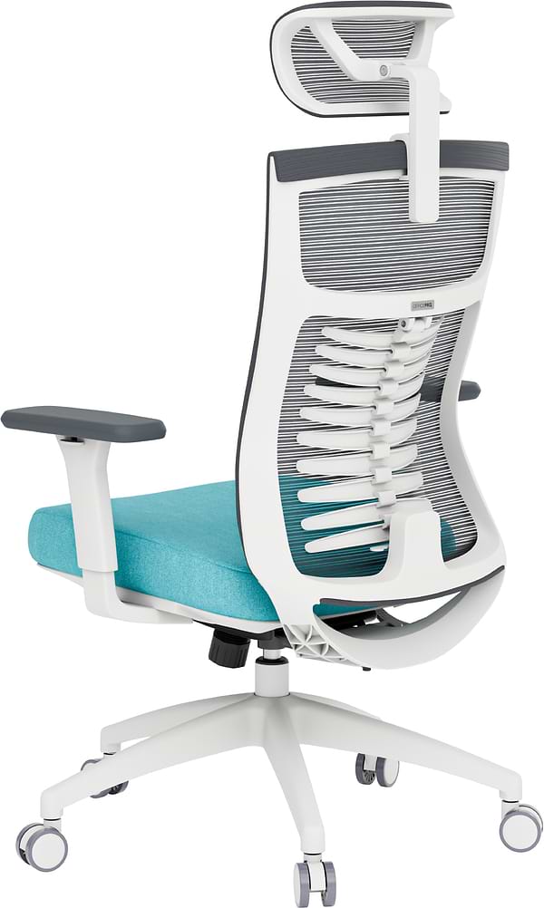 Фото - Крісло офісне OfficePro Balance (OC550-W-DG-BL) White/Dark Gray/Blue
