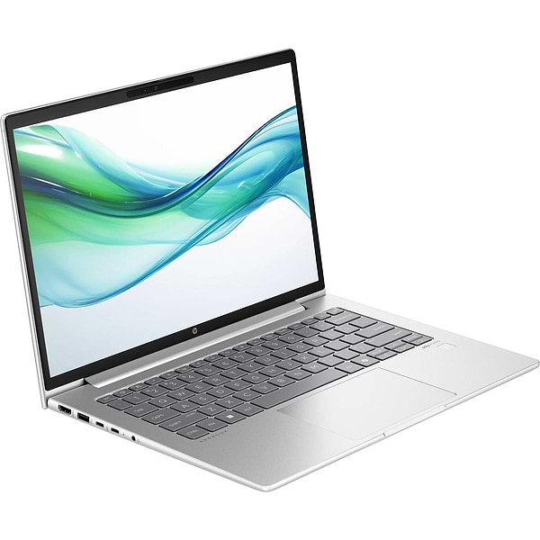Фото - Ноутбук HP ProBook 445 G11 (8Z9P8AV_V2) Silver