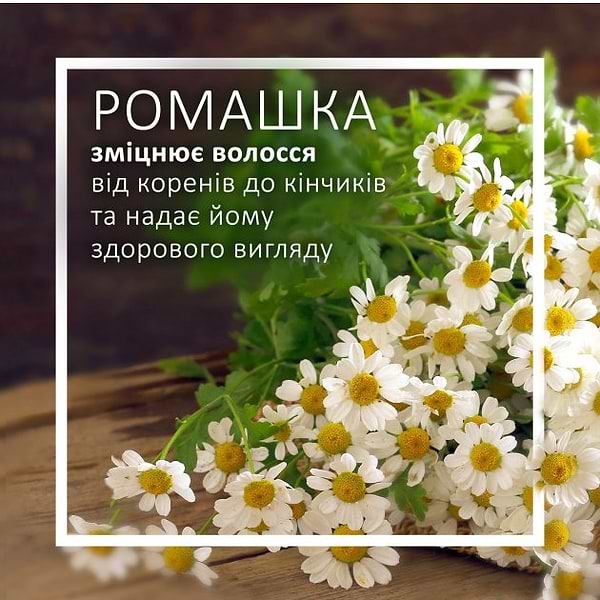 Фото - Шампунь жіночий Schauma Щоденний догляд з екстрактом ромашки 400 мл (9000101627428)