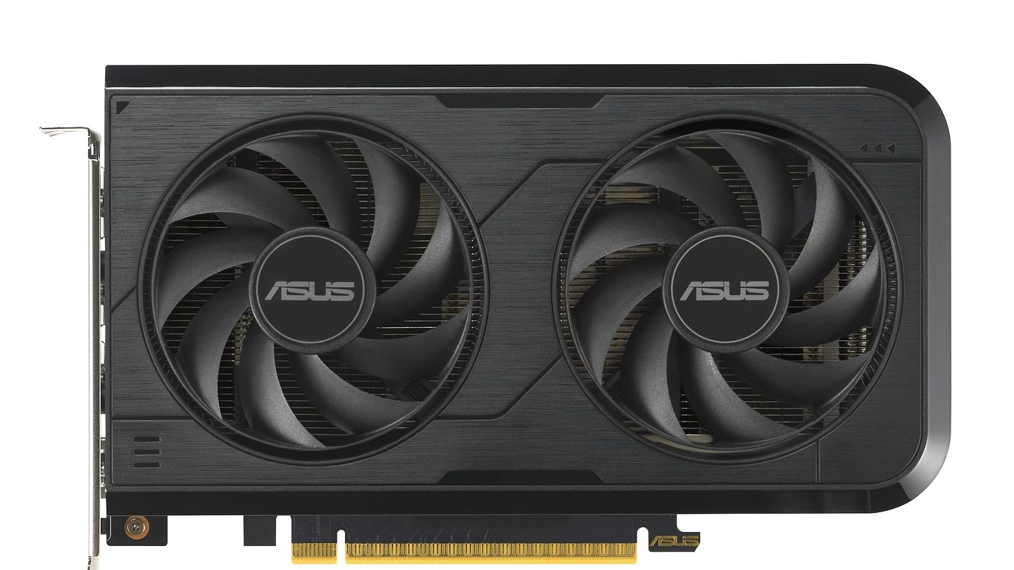 Купить Видеокарта Asus GeForce RTX 5050 8 GB GDDR6 OC DUAL-RTX5050-O8G - Фото 1 Видеокарта Asus GeForce RTX 5050 8 GB GDDR6 OC DUAL-RTX5050-O8G - Фото 1