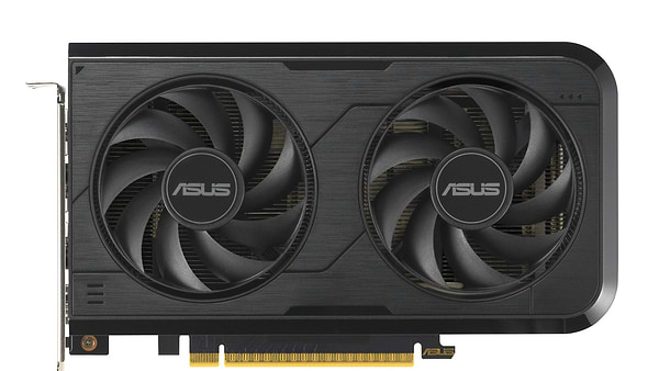 Фото - Відеокарта Asus GeForce RTX 5050 8 GB GDDR6 OC DUAL-RTX5050-O8G