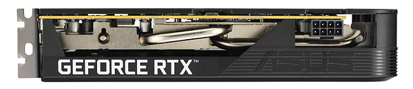 Фото - Відеокарта Asus GeForce RTX 5050 8 GB GDDR6 OC DUAL-RTX5050-O8G