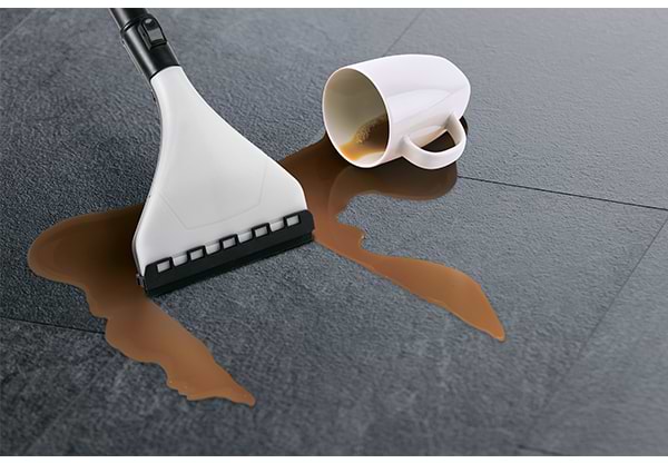 Фото - Пилосос миючий з мішком Zelmer ZVC 9150 D