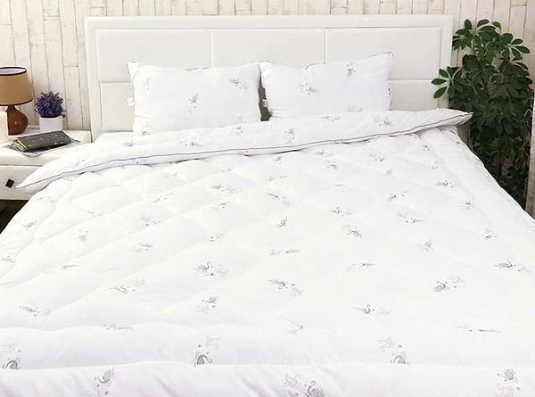 Фото - Набор одеяло евро + 2 подушки Руно 200х220 + 50х70 (925.52_Silver Swan_demi)