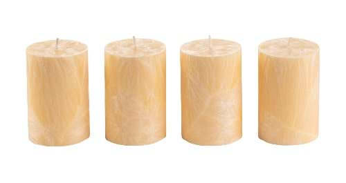 Фото - Свеча декоративная CandlesBio цилиндр 70/100 мм Ваниль (WP13 70/100)