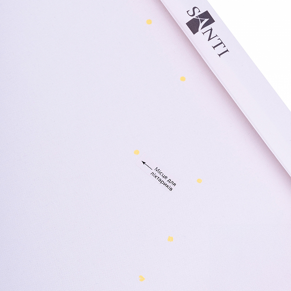 Фото - Картина за номерами Santi Шипи та троянди. Між двох стихій 40х50 см (956648)