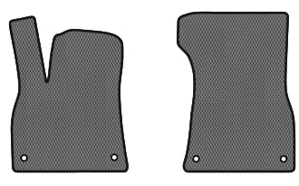 EVA килимки в салон авто передні EVAtech для E-tron Quattro (GE) Audi 2018 1 покоління SUV Canada (AU11958AM2AV4RGB)