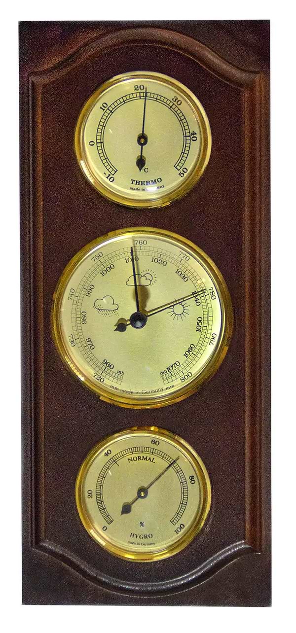 Фото - Метеостанція Moller Walnut (203050)