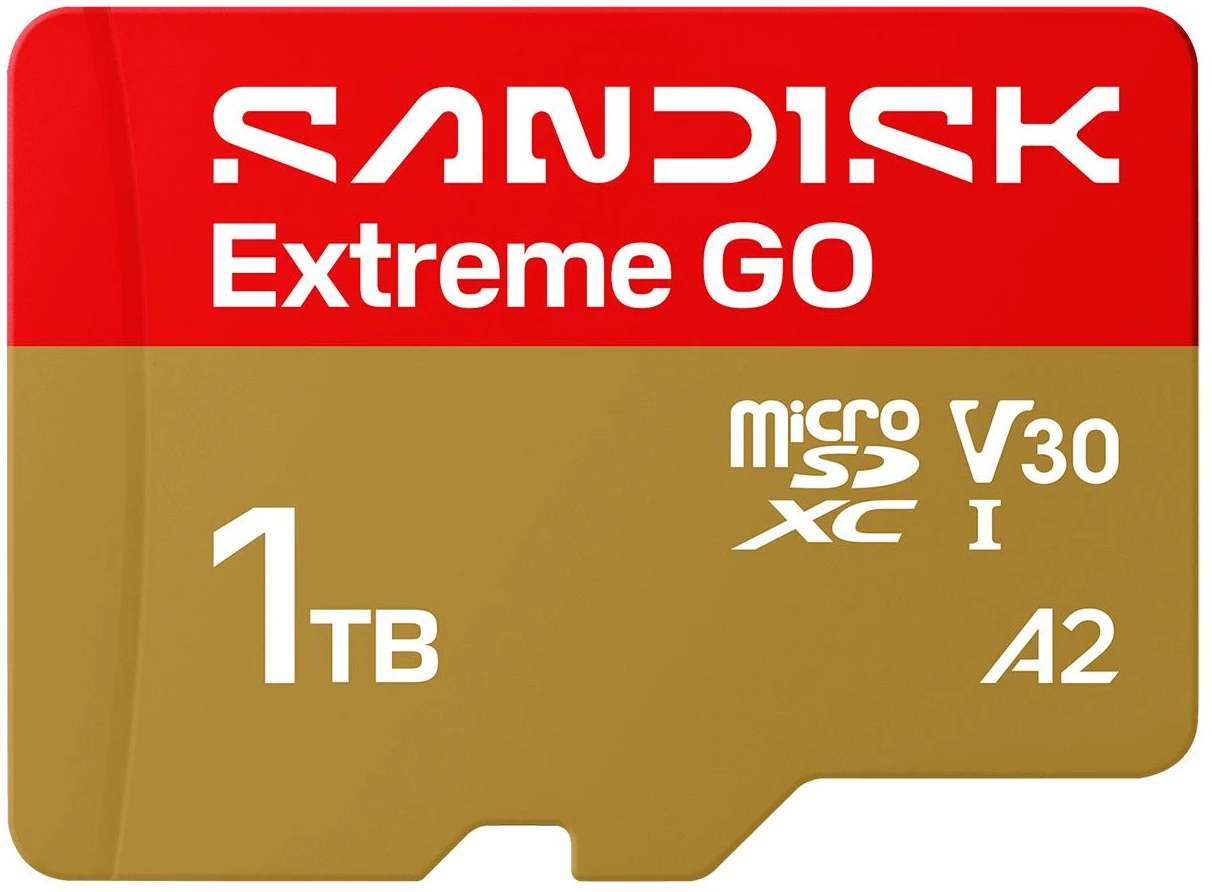 Карта памяти SanDisk Extreme GO SDXC 1TB UHS-I V30 A2 (SDSQXGN-1T00-GN6MN)