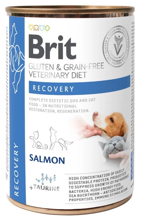 Вологий корм для собак Brit VetDiets Grain Free Recovery та котів для відновлення після хвороби чи операції з лососем 400 г (8595602536191)