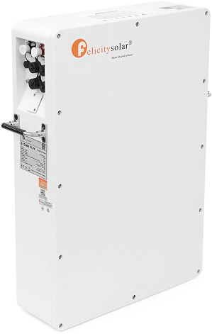 Батарея для сонячного інвертора FelicityESS 51.2V 100Ah (LPBA48100-OL)