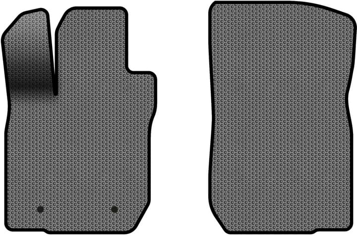 EVA килимки в салон авто передні EVAtech для Logan MCV Dacia 2006-2012 1 покоління Combi EU DA31657A2RN2SGB