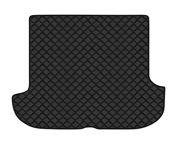 Фото - Коврик из экокожи в багажник авто EVAtech ECO для Terracan Hyundai 2001-2007 1 поколение SUV EU HY2957B1BBB