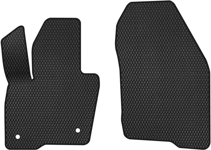 EVA коврики в салон авто передние EVAtech для Edge Ford 2014-2018 2 поколение SUV USA FD12344AV2FC2RBB