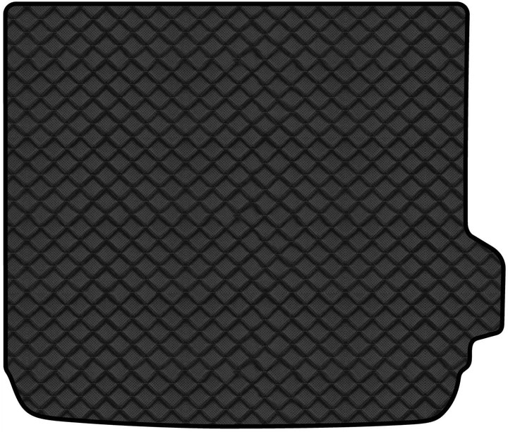 Килимок з екошкіри в багажник авто EVAtech ECO для X4 (GO2) BMW 2018 2 покоління SUV USA BM13384BH1BBLB