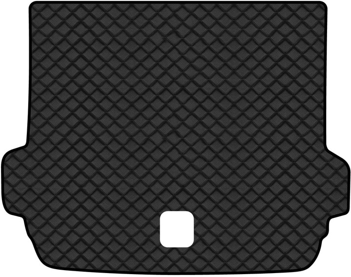 Коврик из экокожи в багажник авто EVAtech ECO для X4 (GO2) BMW 2018 2 поколение SUV USA BM13384BD1BBLB
