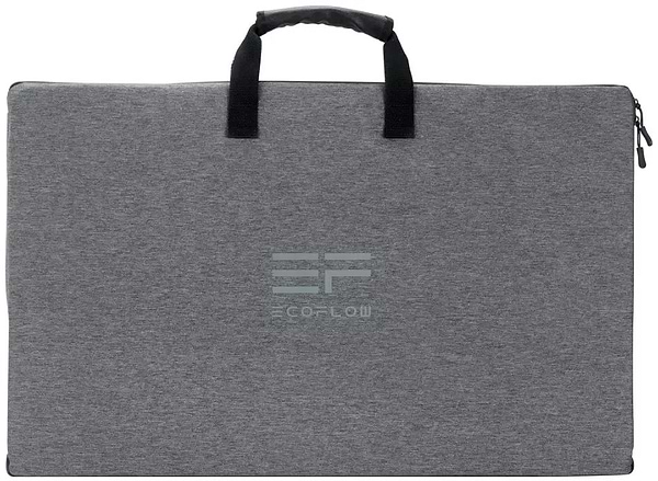 Фото - Портативна сонячна панель EcoFlow 160W (1ECO1000-04)