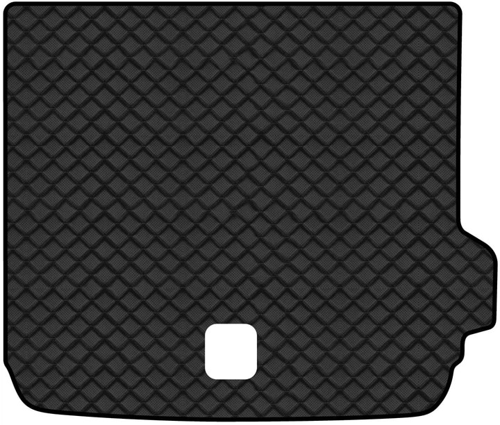 Килимок з екошкіри в багажник авто EVAtech ECO для X4 (GO2) BMW 2018 2 покоління SUV USA BM13384BA1BBLB
