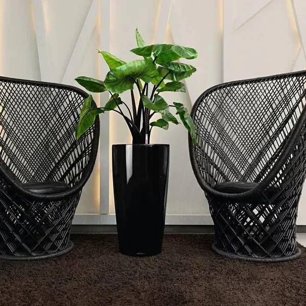 Фото - Вазон Lechuza Рондо Преміум 32 Сіро-коричневий 15784