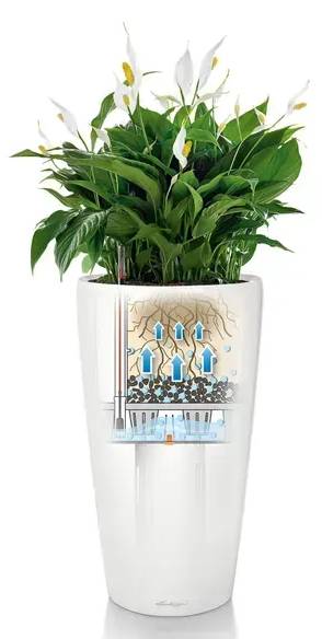 Фото - Вазон Lechuza Рондо Преміум 32 Сіро-коричневий 15784