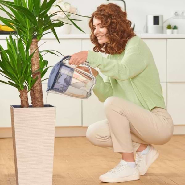 Фото - Фільтр-глечик Ecosoft Maxima сапфіровий 5 л