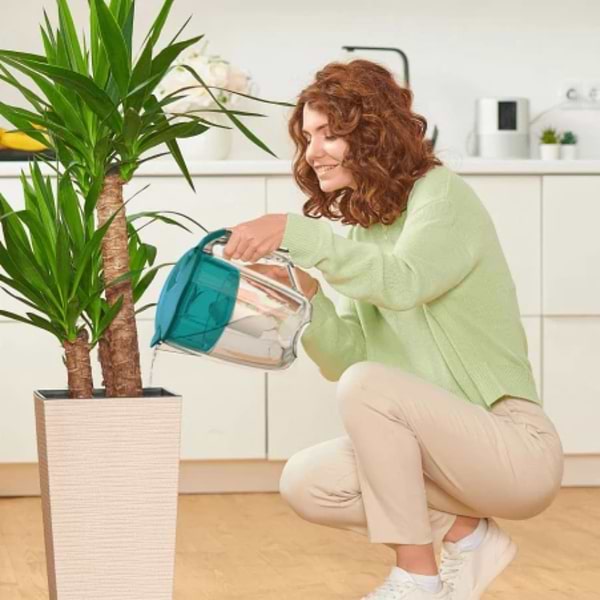 Фото - Фильтр-кувшин Ecosoft Maxima aqua green 5 л