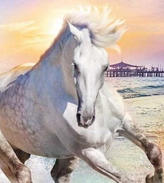 Фото - Пазлы (8+) Trefl "Безумные пазлы" - "Три белых конька"- (600 элм.) (11111)