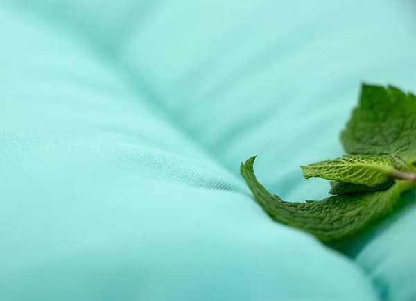 Фото - Набір ковдра полуторна + подушка Руно 140х205 + 50х70 (924.52_Mint)