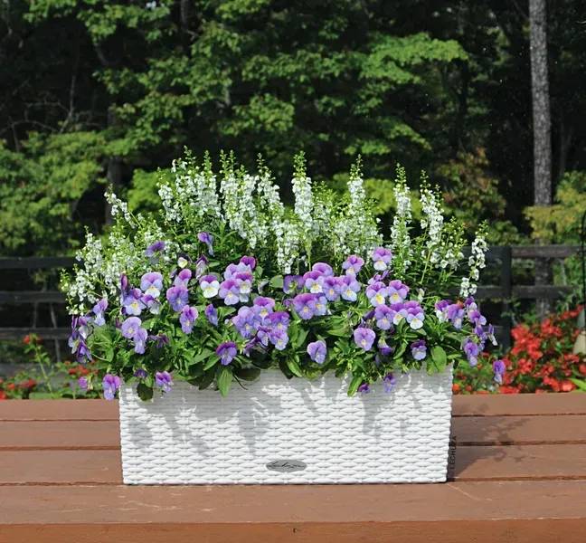 Фото - Вазон Lechuza 50\19\19 Балконера Котедж Белый 15600