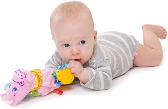 Фото - Прорізувач Macik Зоо" Бегемот Добряк" (МС 160201-02)