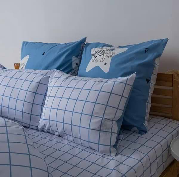 Фото - Комплект постельного белья ТЕП Happy Sleep Blue Check (2-03796_25207)