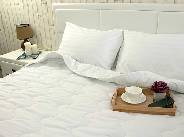 Фото - Одеяло всесезонное двуспальное евро Руно 200х220 силиконовое (322.52СЛУ_белый)