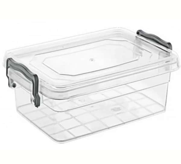 Фото - Емкость для хранения VIOLET HOUSE 0463 Family Box Transparent 2 л