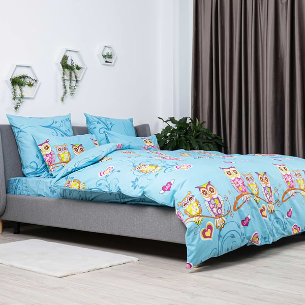 Фото - Комплект постельного белья ТЕП 274 Сова (2-00882_16652)