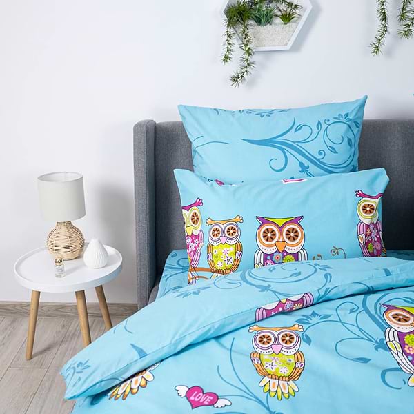 Фото - Комплект постельного белья ТЕП 274 Сова (2-00882_16652)