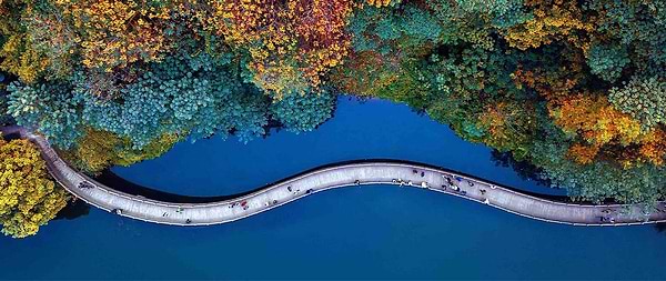 Фото - Телевізор TCL 98P745