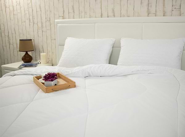 Фото - Набір ковдра євро + 2 подушки Руно 200х220 + 50х70 (925.52СЛБ_Білий)