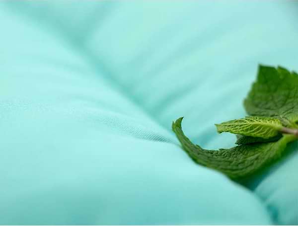 Фото - Набор одеяло евро + 2 подушки Руно 200х220 + 50х70 (925.52_Mint)